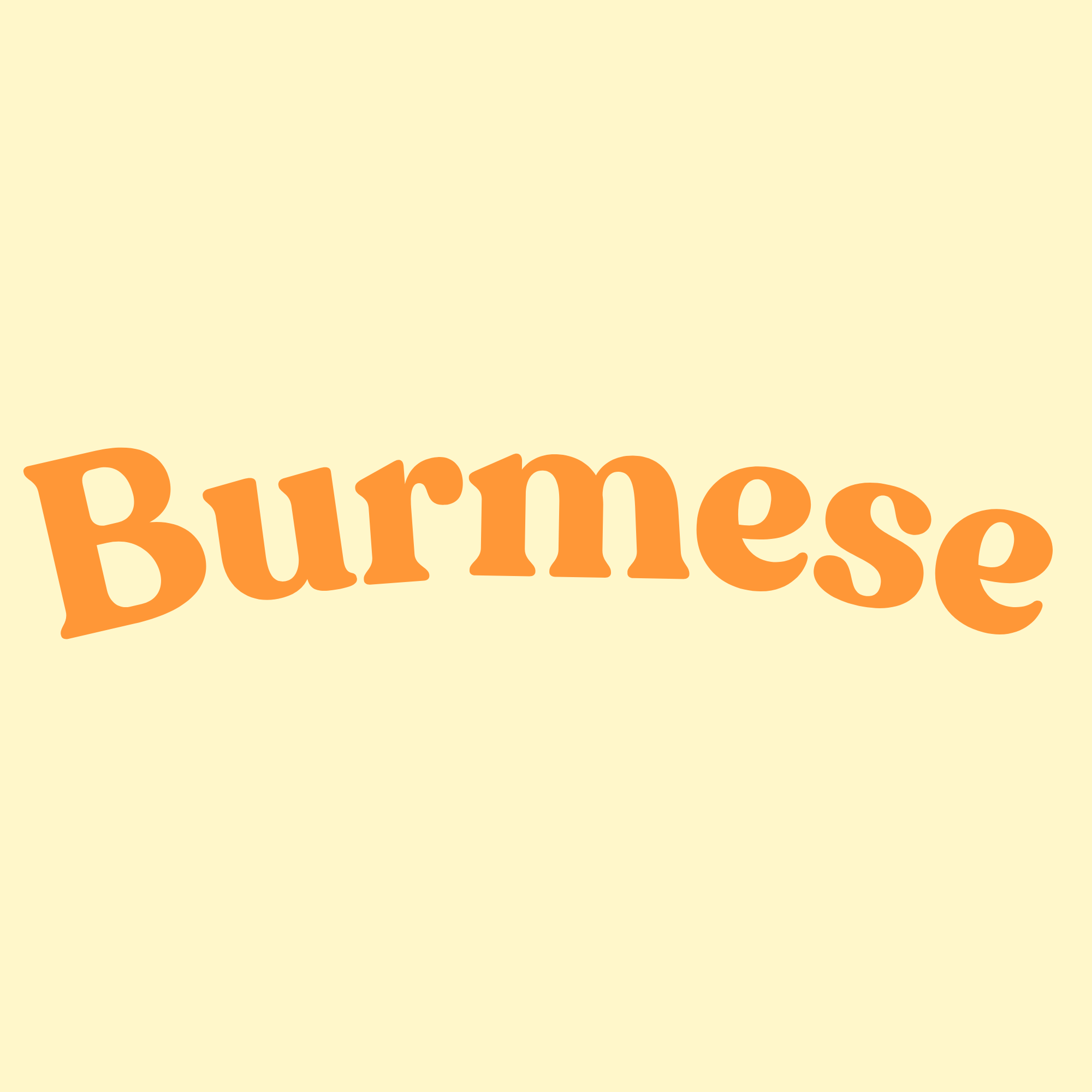 Burmese Bilingual Versions